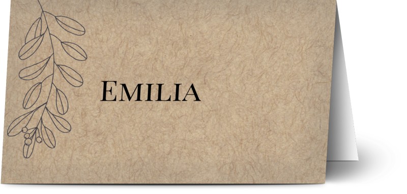 item preview