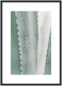 item preview
