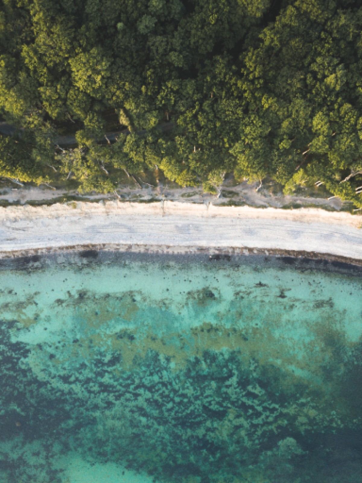item preview