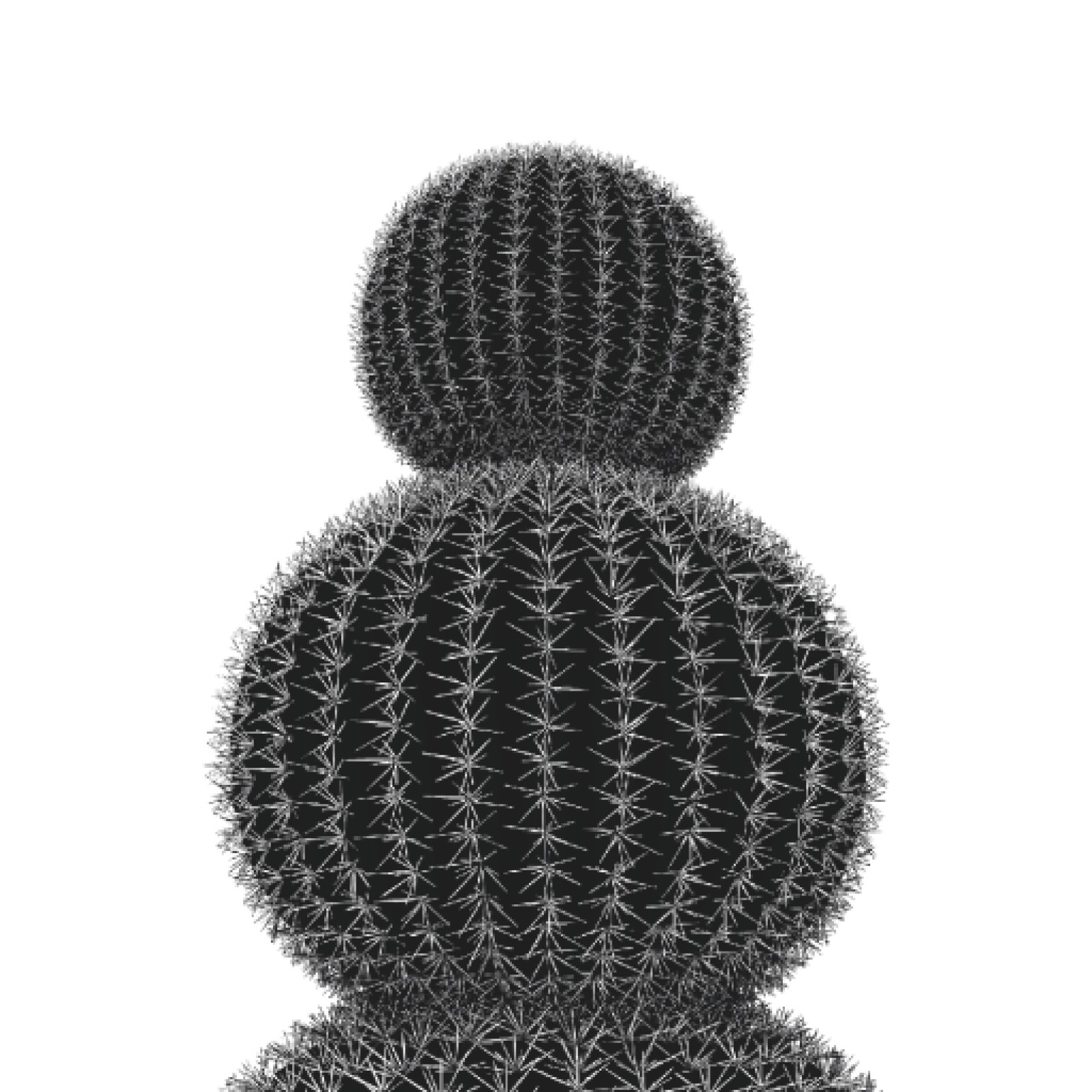 item preview