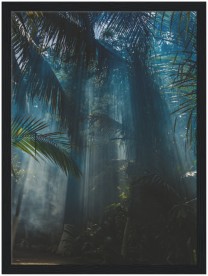 item preview