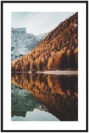 item preview