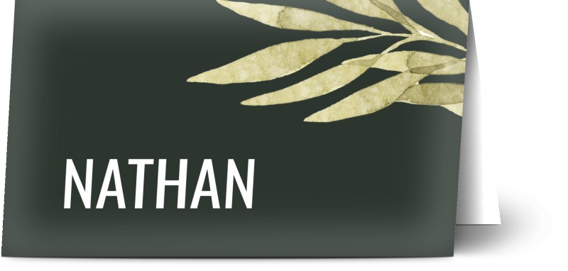 item preview