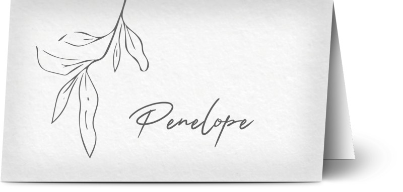 item preview