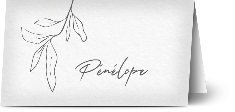item preview