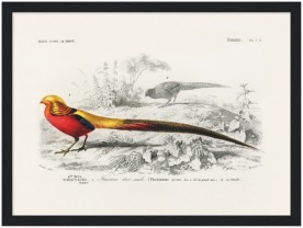 item preview