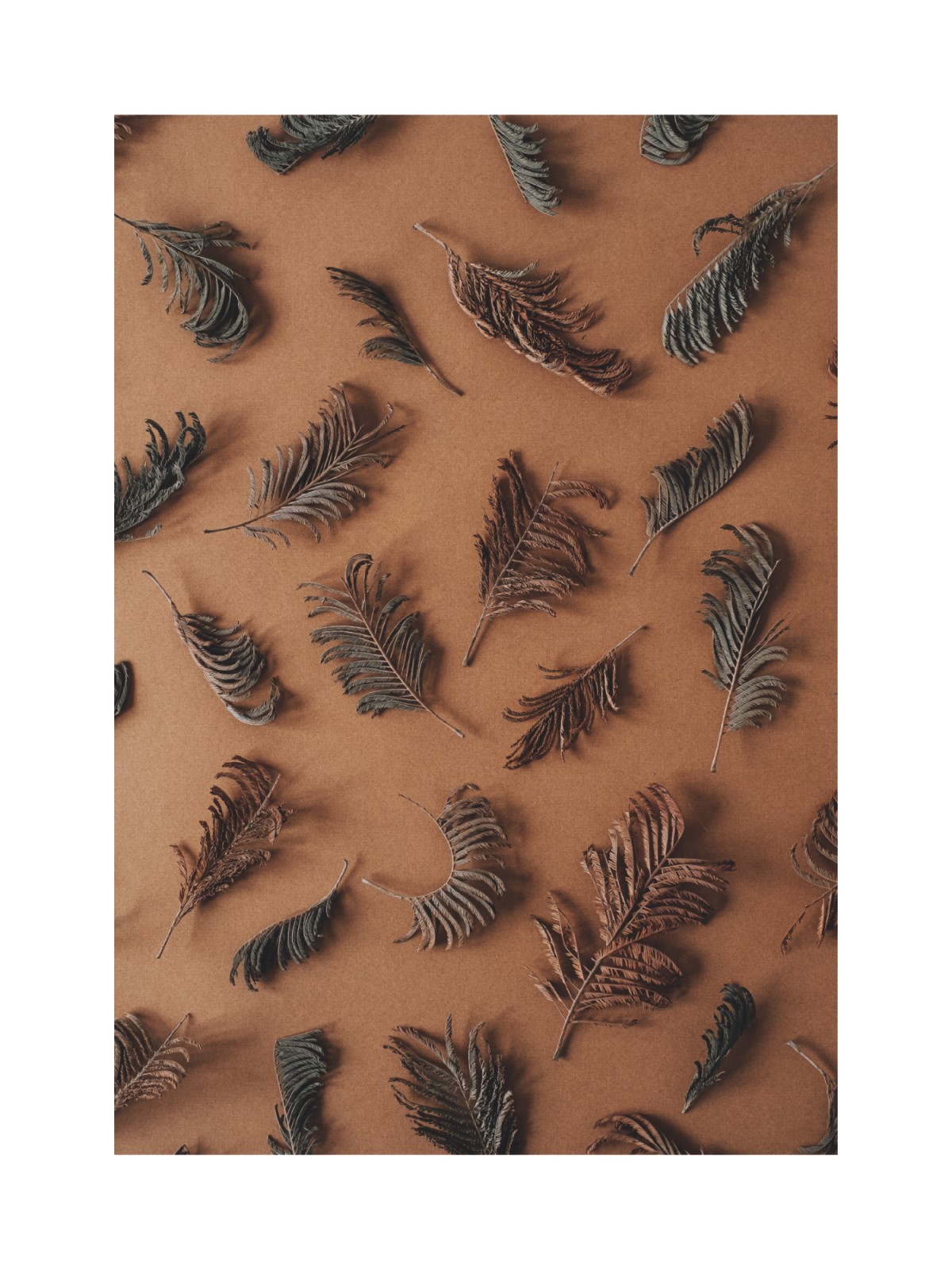 item preview