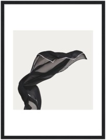 item preview