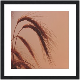 item preview