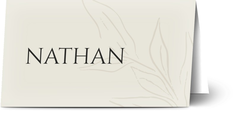 item preview