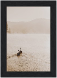 item preview