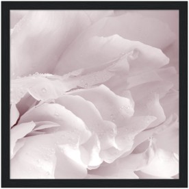 item preview