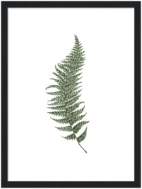 item preview