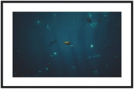 item preview
