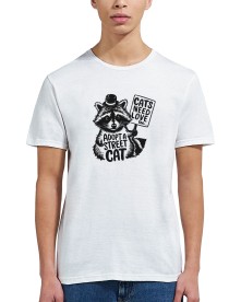 item preview