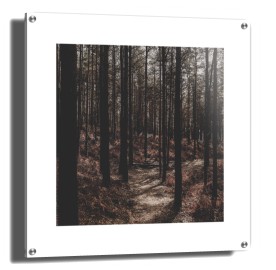 item preview