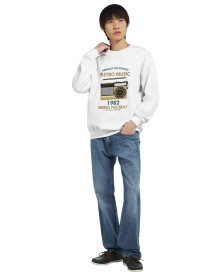 item preview