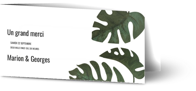 item preview