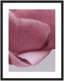 item preview
