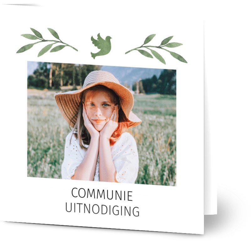 item preview