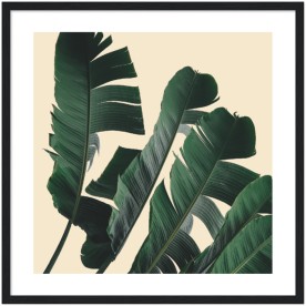 item preview