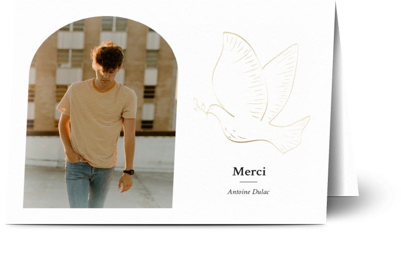 item preview