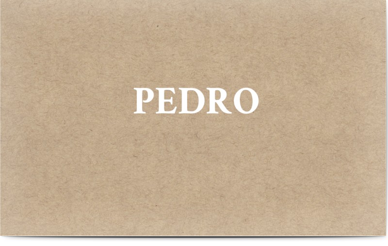item preview
