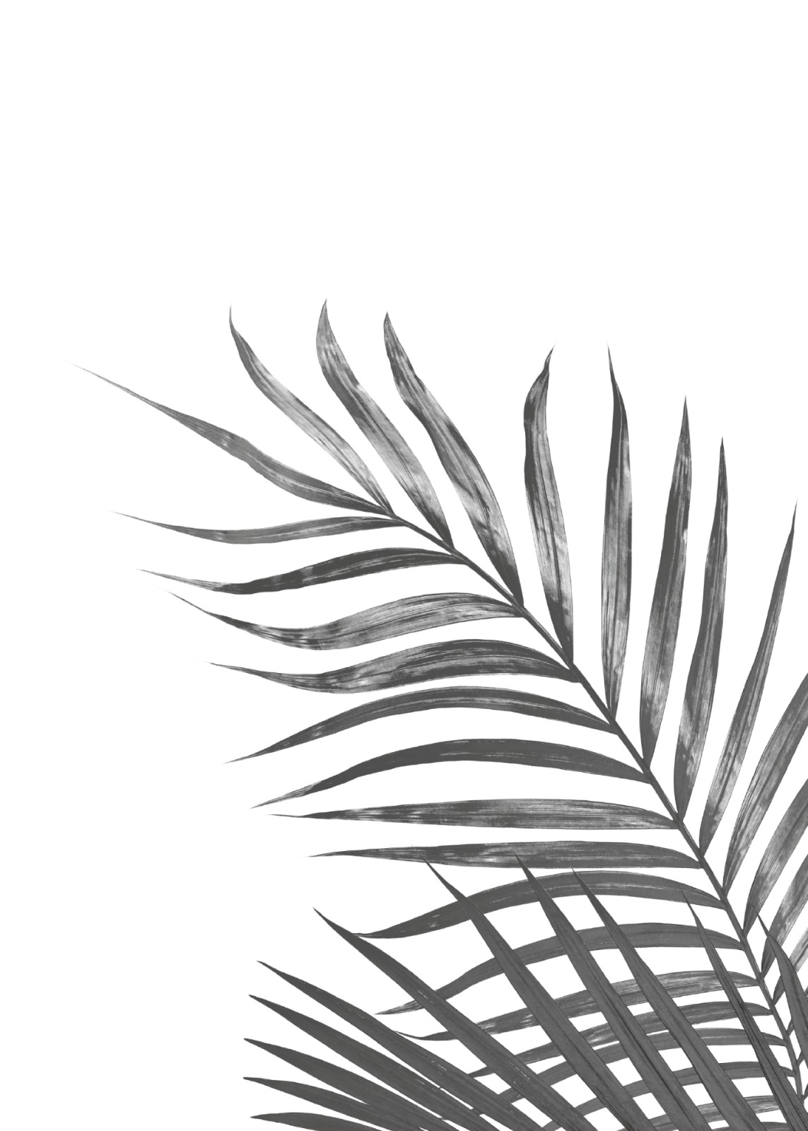 item preview