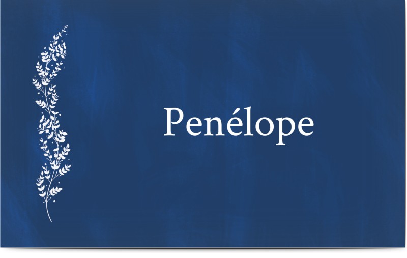item preview