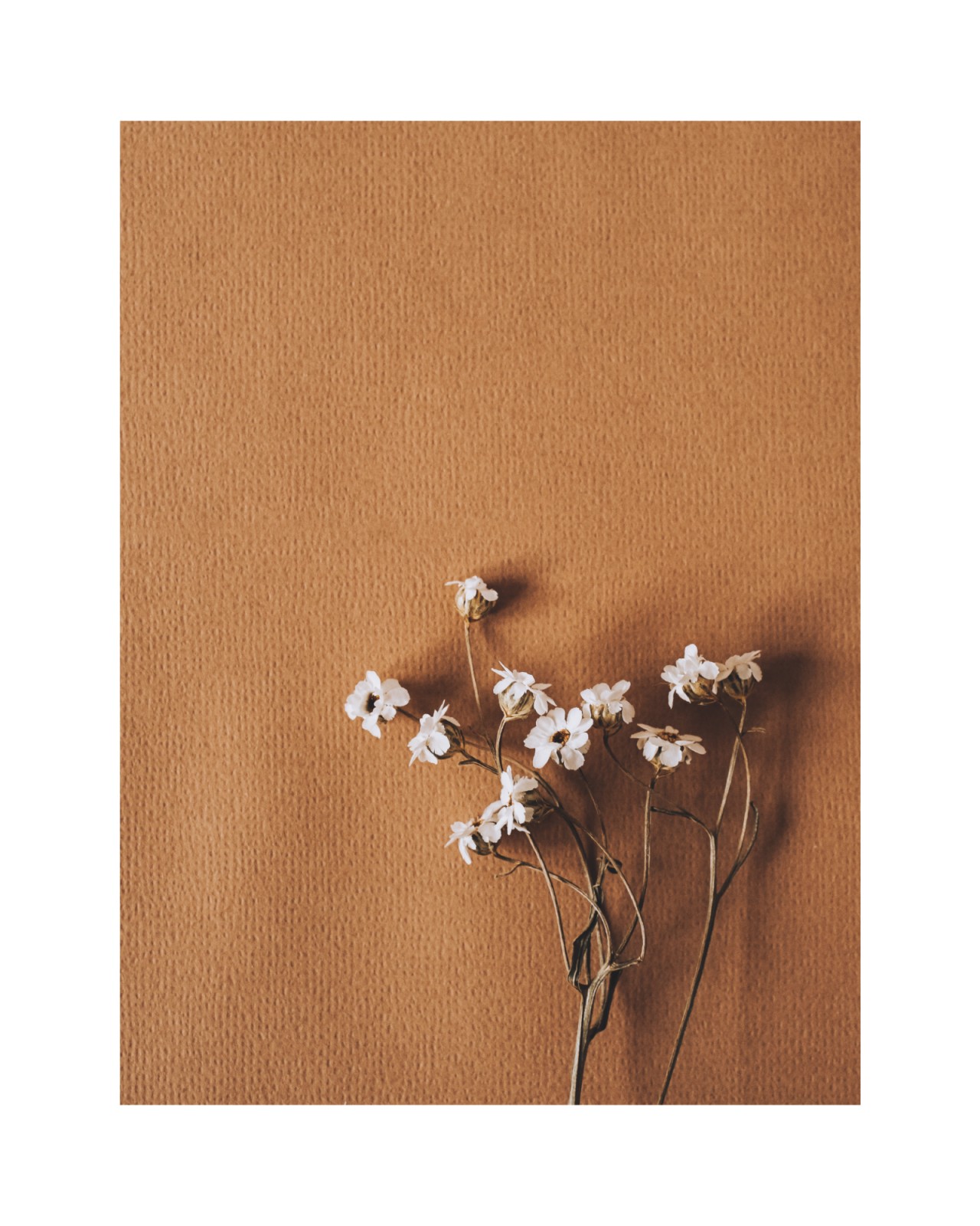 item preview