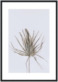 item preview