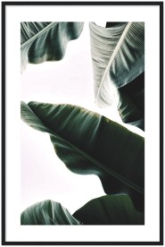item preview