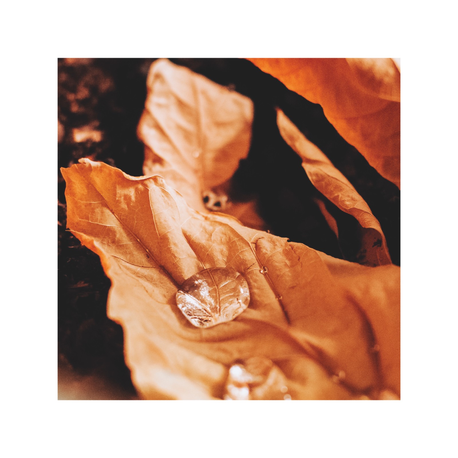 item preview