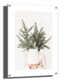 item preview