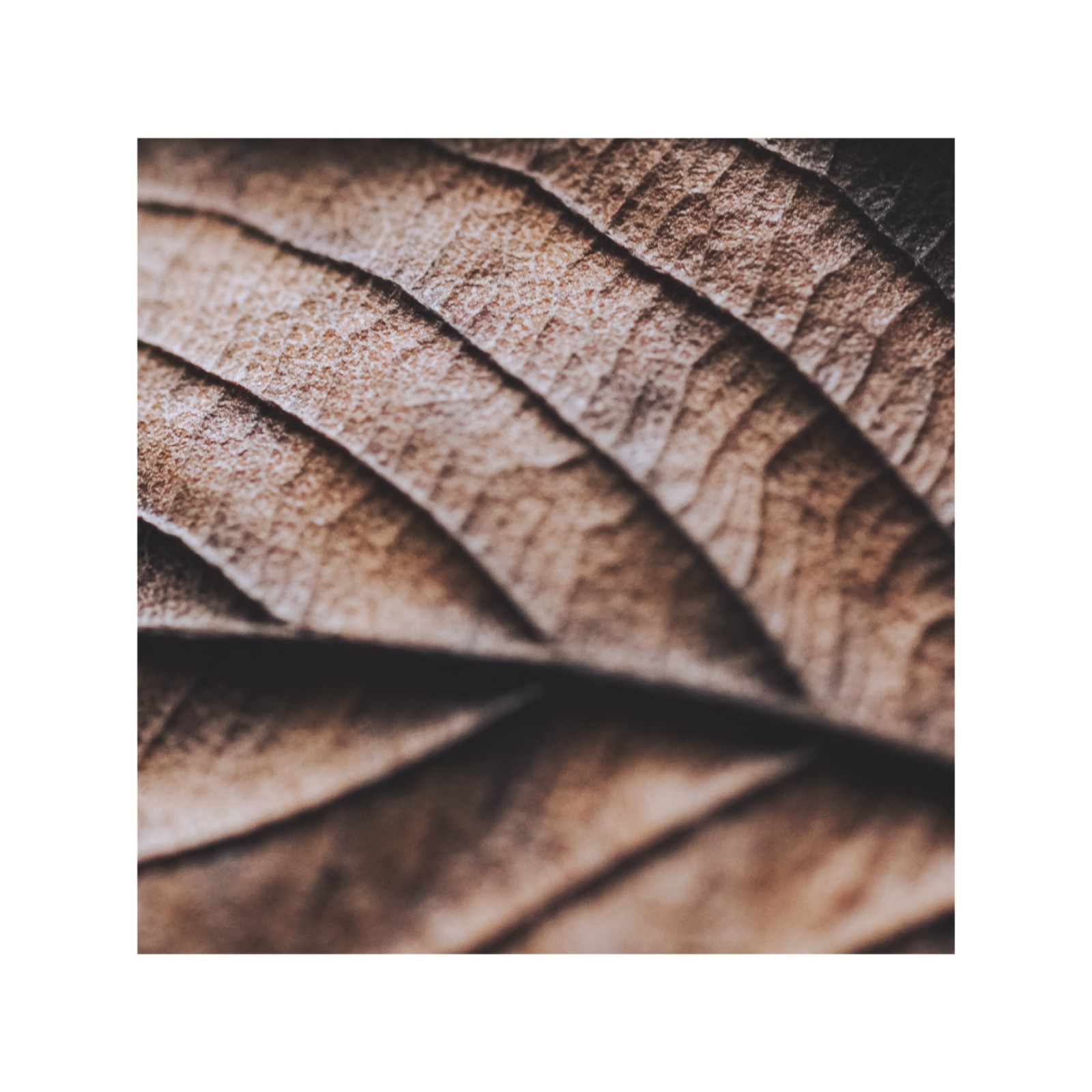 item preview