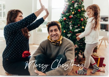 Festive Cheer