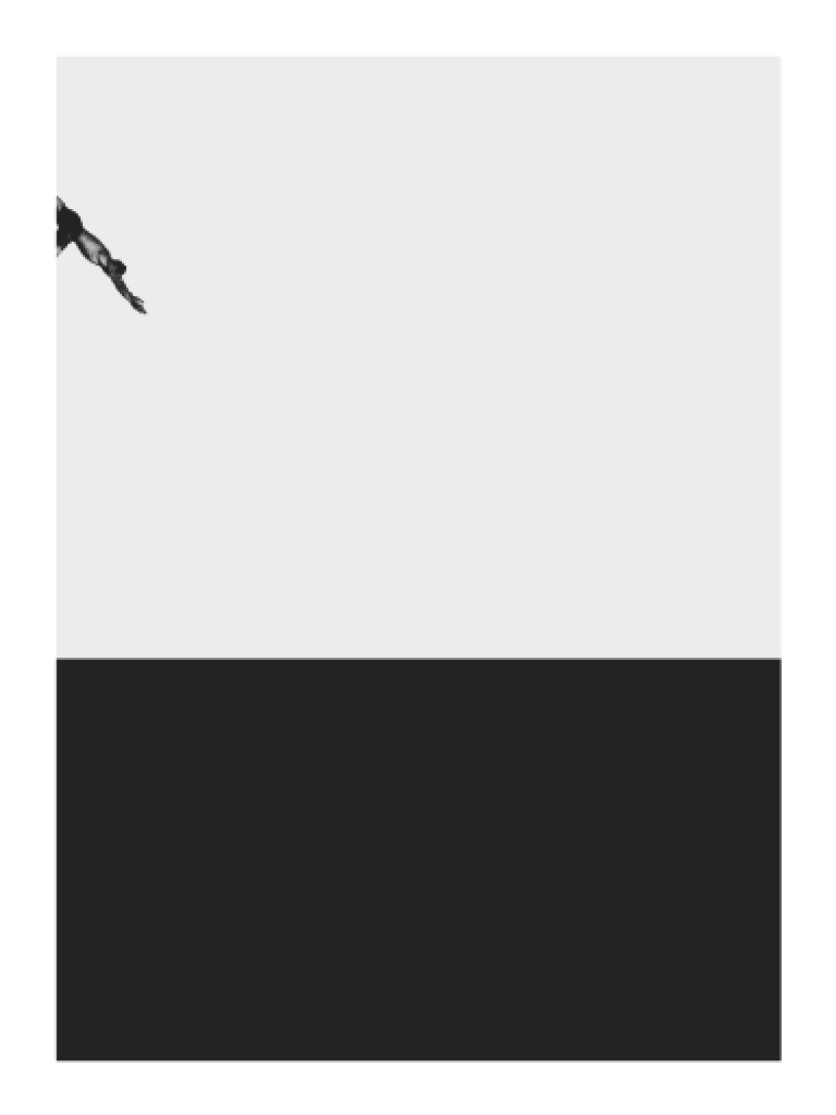 item preview