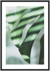 item preview