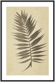 item preview