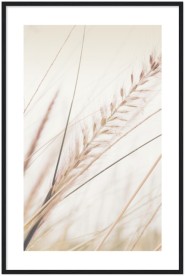 item preview