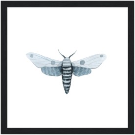 item preview