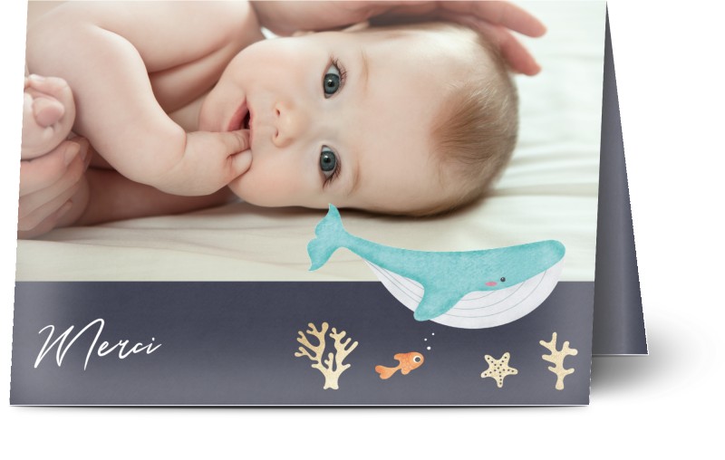 item preview