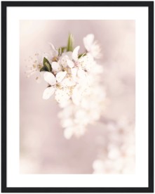 item preview