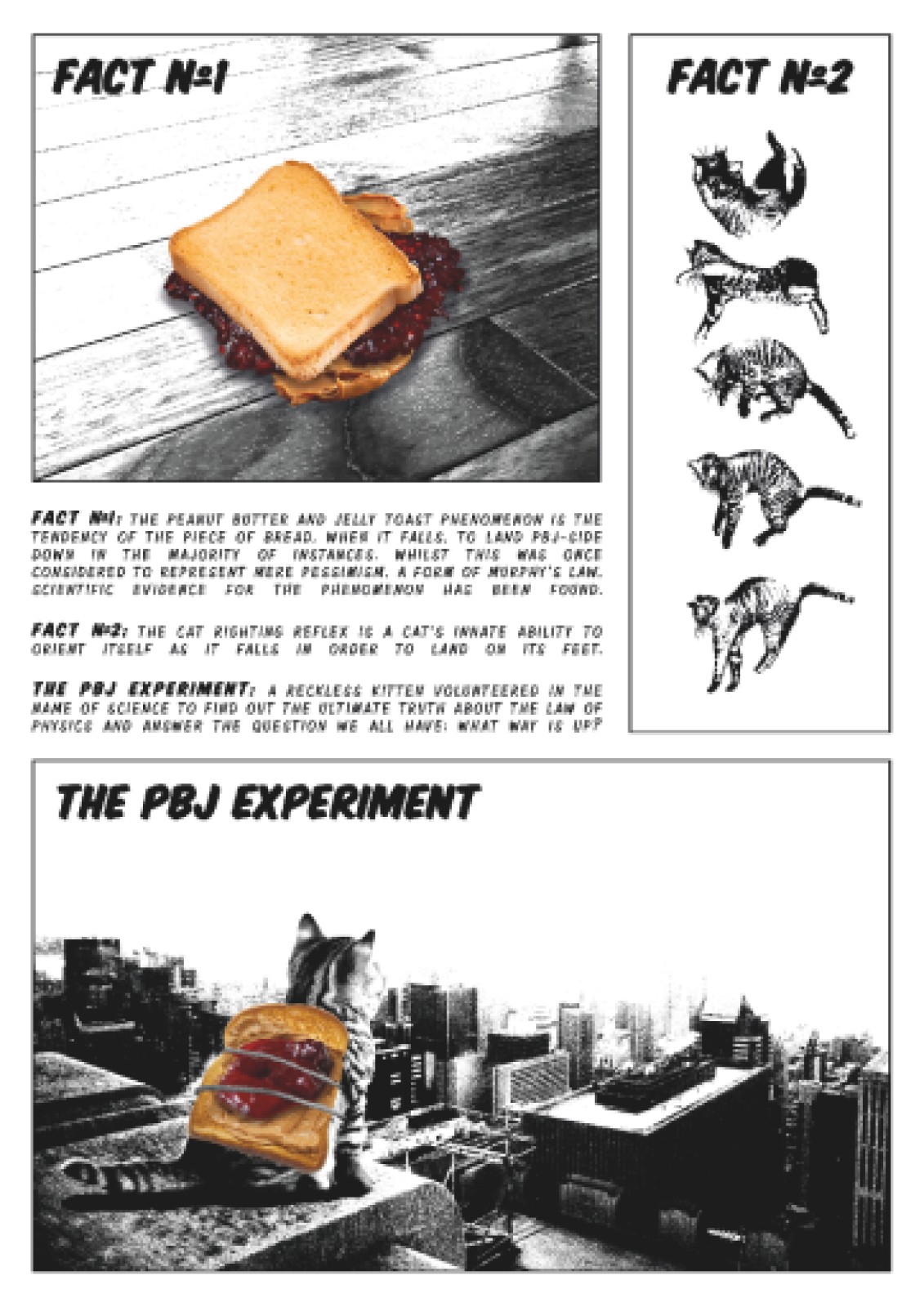 item preview
