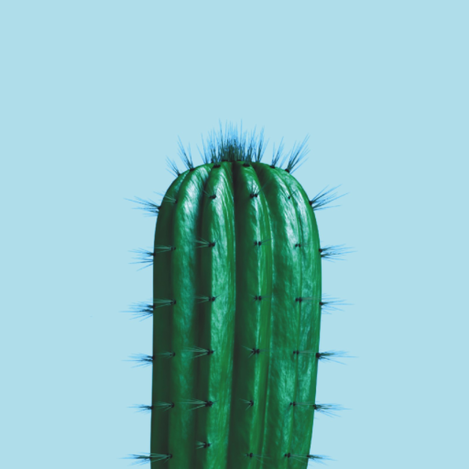 item preview