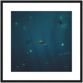 item preview