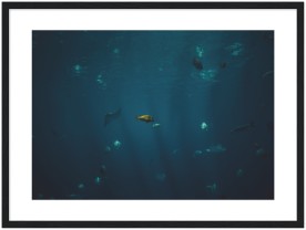 item preview