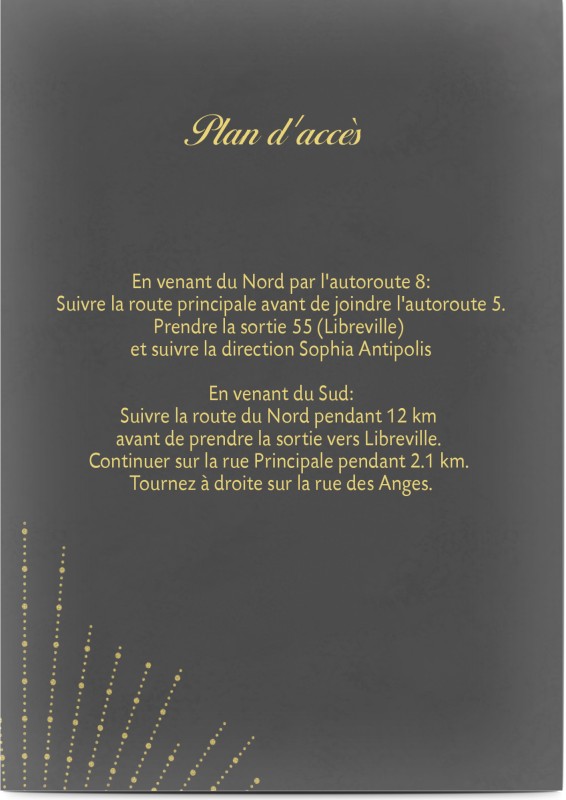 item preview