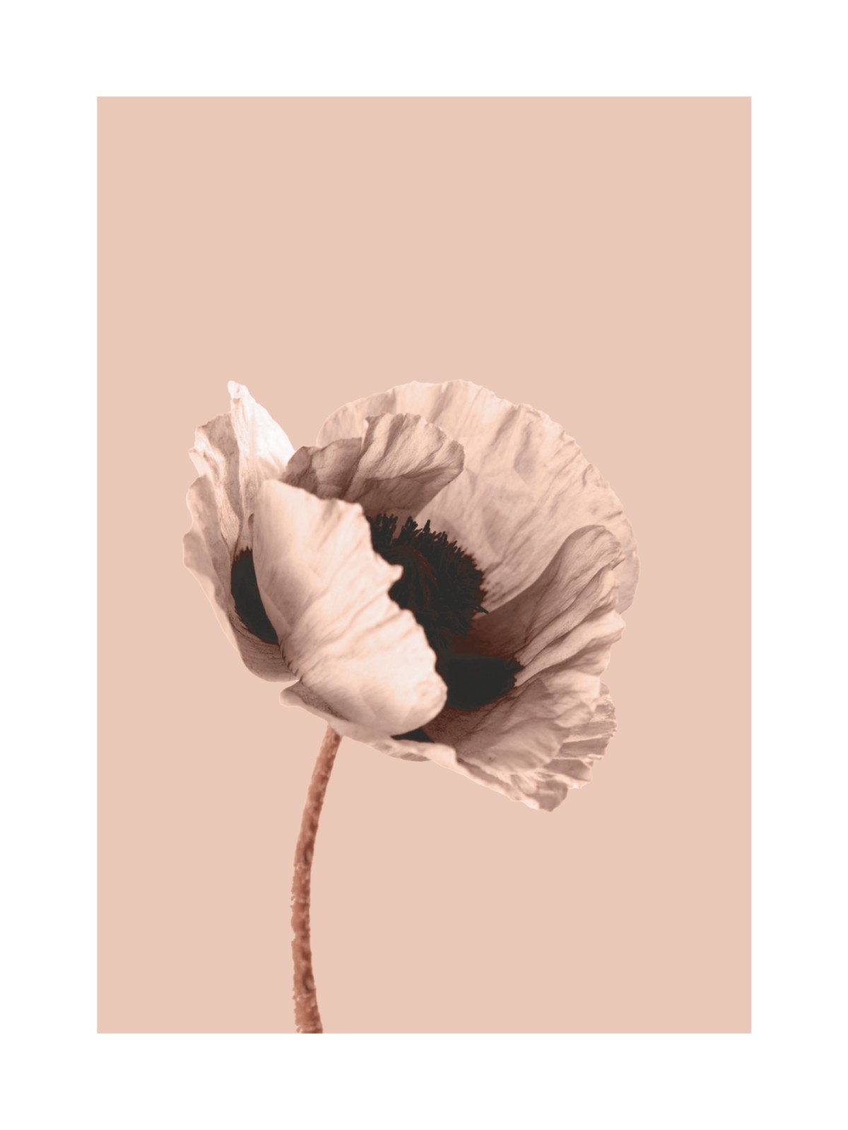 item preview