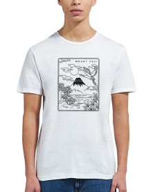 item preview